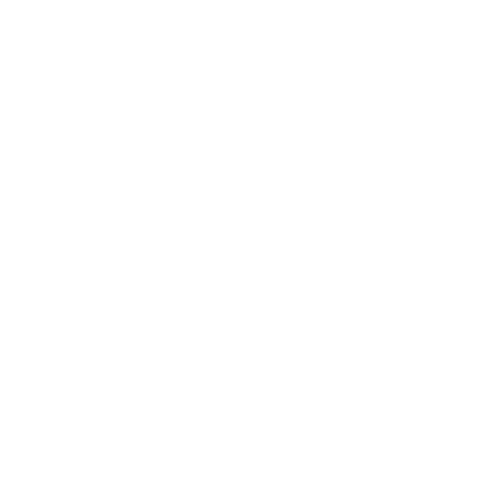 LADY P32